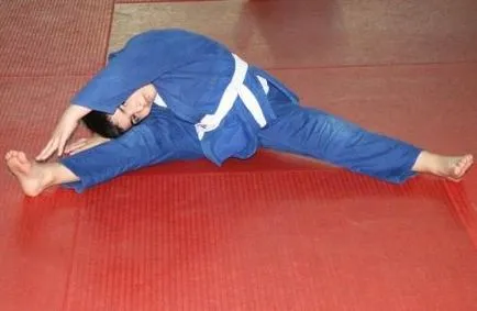 Judo - díjas művészeti