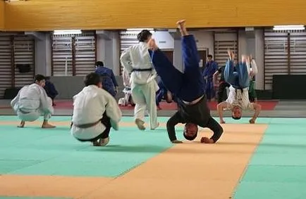 Judo - díjas művészeti