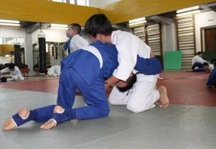 Judo - díjas művészeti