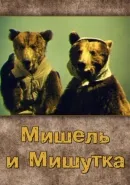 Филми за мечките колекция от филми онлайн филми и телевизионни предавания kinopod