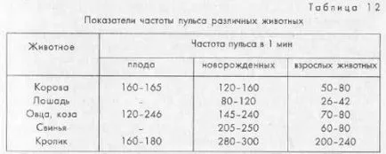 Физиологични характеристики на новородени и техники се грижат за тях - всичко по ветеринарна медицина