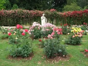 rozarii foto la cabana lor de vară