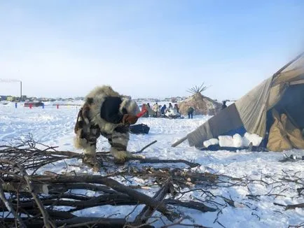 Unde și cum să trăiască Chukchi păstorii de reni