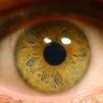 Magas vérnyomásos retinopátia tünetek és a kezelés