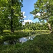 Muzeul-Păstrare de stat „Tsarskoye Selo“