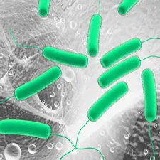 Гнойна инфекция и Pseudomonas