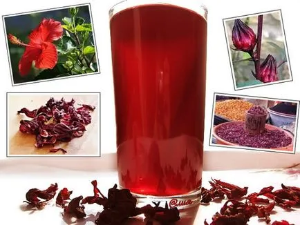 Hibiscus (Китай нарасна) полезни свойства и противопоказания