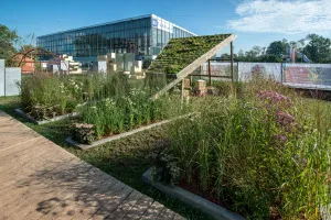 Iii Moscova festival internațional de artă peisaj - grădini și oamenii - 2016