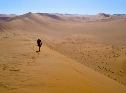 Какво е най-голямата пустиня в света на интересни факти за най-голямата пустиня