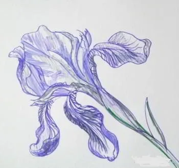 Cum de a desena un creioane iris acuarelă etape