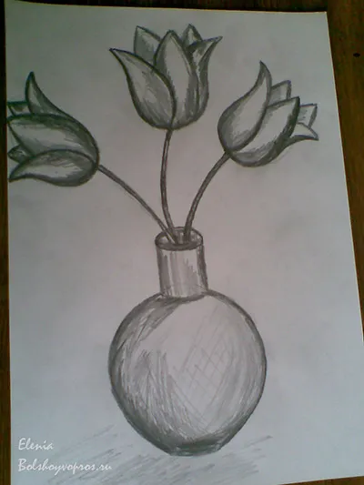 Cum de a desena o vaza cu flori în culorile în format 3D în etape