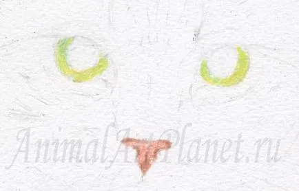 Hogyan kell felhívni a macska akvarell ceruza, akvarell