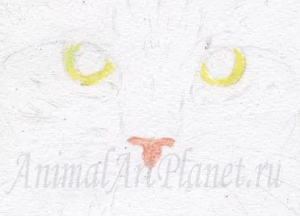 Hogyan kell felhívni a macska akvarell ceruza, akvarell