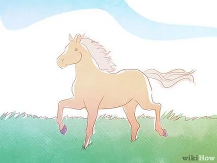 Cum de a începe să se angajeze în creșterea cailor