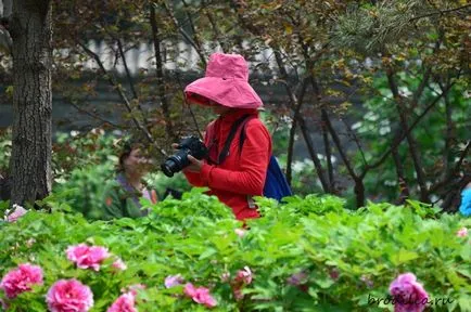 Hogyan pihenni a kínai Beijing Park