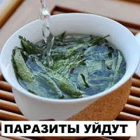 Как Giardia предава от човек на човек, къде са