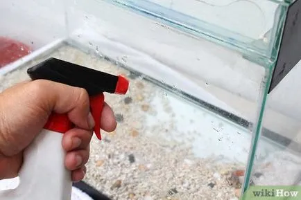 Hogyan tisztítható egy kis akváriumban