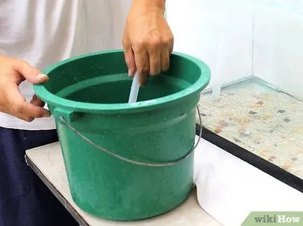 Hogyan tisztítható egy kis akváriumban