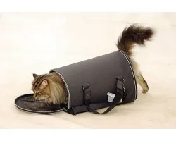 Как да научим котка не се страхувайте от чанта, носеща