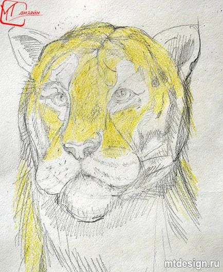 Как да нарисува тигър, mtdesign
