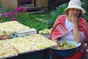 Hogyan készítsünk aszalt alma otthon a sütőben