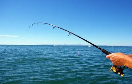 Как да се превърне в господар на спортен риболов, спорт