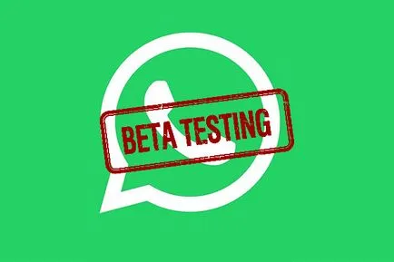 Cum de a deveni o versiune beta tester sau beta tester WhatsApp, profesorul Falken