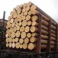 lipici lemn PVA, timp, termic rezistent, poliuretan, impermeabil