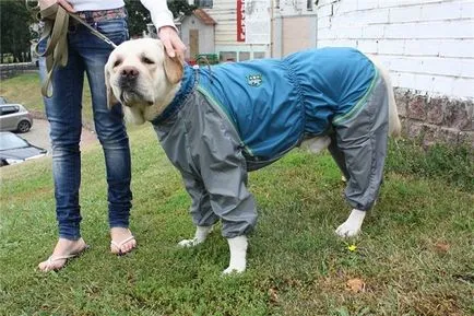 Overall Labrador, ruházat - esőkabát és tartozékok nyakörv, hám, naplopó, fésű