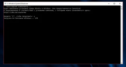 Cum se instalează și de a activa bash ubuntu în Windows 10