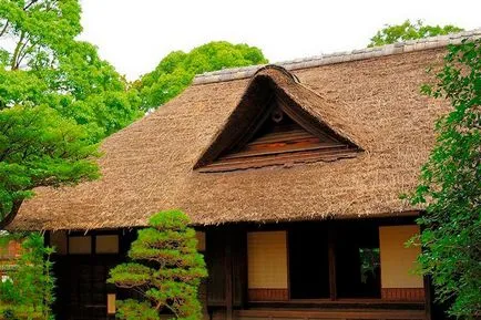 Ce să aleagă pentru acoperișul unei case din lemn și ce mai bine