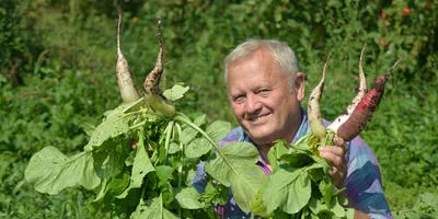 Cum să crească două culturi de legume în seră pentru sezonul și există o diferență să crească noi plante din