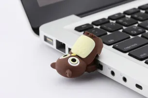 Как да горят прозорци на USB флаш устройство