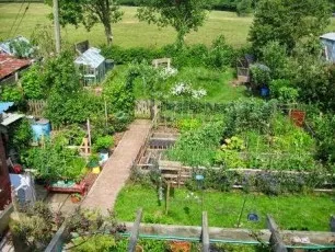 Cum de a face o viață în proprietatea familiei, sau 150 de activități în Ecovillages