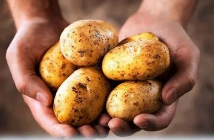 Soiuri de cartofi Veneta descriere, fotografii și recenzii grădinari