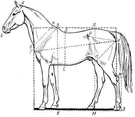 Club-art stúdió live ceruza tanult készség - hogyan kell felhívni a ló (könyve alapján va) -