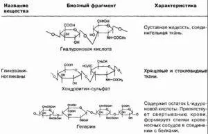 Див кестен простатит - свойства и приложение, противопоказания