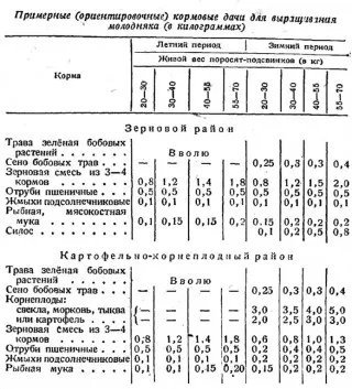 etetés malacok