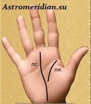 line viață scurtă pe linia dreaptă de viață scurtă palmistry