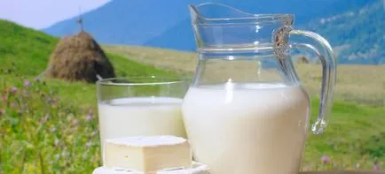 Lapte de vacă și de capră beneficii și daune la ficat
