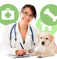 Órás Veterinary Clinic, hívja az állatorvost otthon