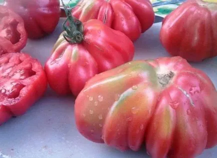 Cele mai bune soiuri de tomate descriere și fotografii