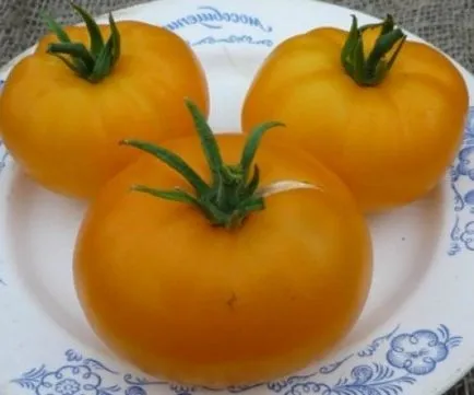 Cele mai bune soiuri de tomate descriere și fotografii