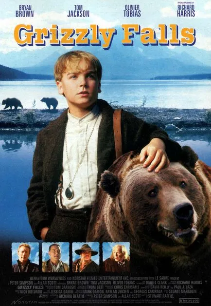 A legjobb filmek medvékről