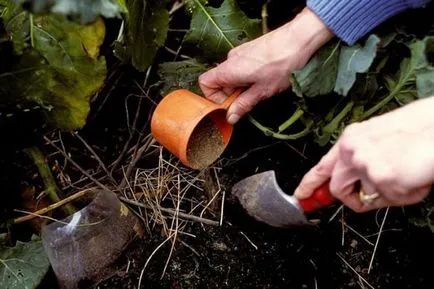 Mole és lárva fotó és leírás arról, hogyan kell harcolni és megszabadulni a videó