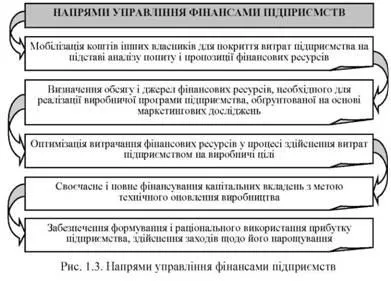 Pe ce principii care stau la baza organizării și funcționării societăților de finanțare, decât