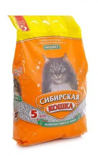 Филъри - сибирска котка магазин за домашни любимци на Арбат