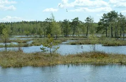 Ugra Nemzeti Park a Kaluga régióban