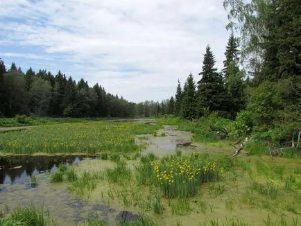 Ugra Nemzeti Park a Kaluga régióban