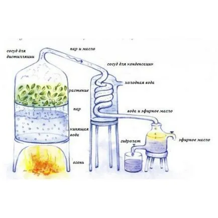 Hydrolat naturale pentru piele și păr